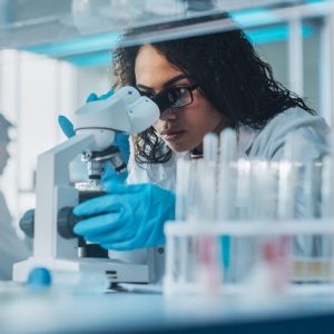 Forschung / Entwicklung